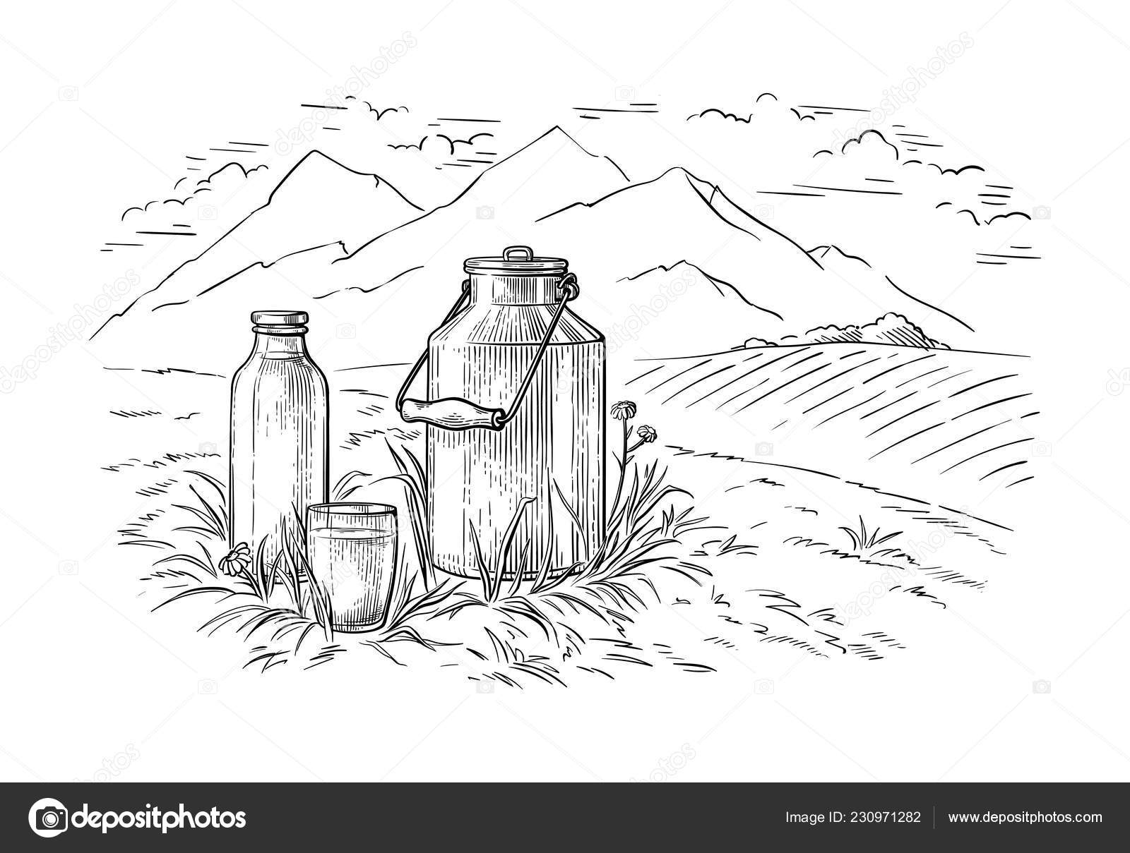 Healthy Breakfast Drawing Sketch Glass Milk Bottle Iron Can Cup Field Cow Vilage Vector Stock Vector Image By C Vectorgoods Gmail Com