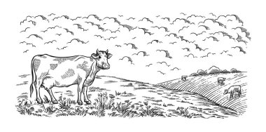 sağlıklı kahvaltı kroki cam süt şişesi demir çizim alanı inek köy vektör Kupası