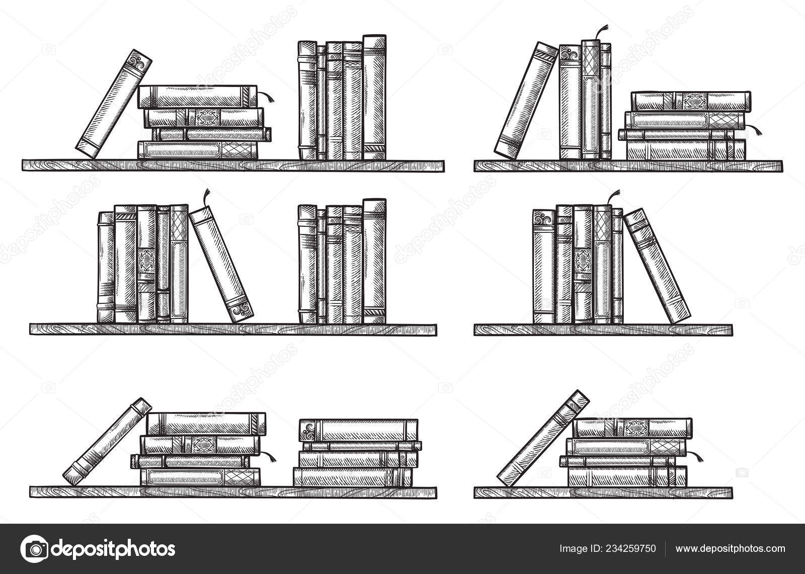 Images Bookshelf Sketch Sketch Bookshelf Collection Standing