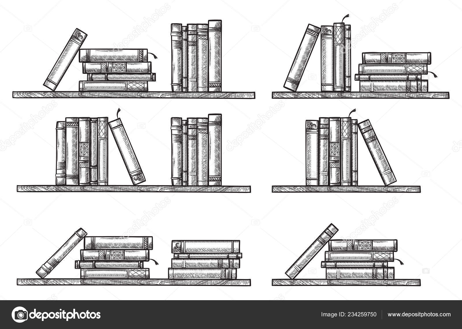 Images Bookshelf Sketch Sketch Bookshelf Collection Standing