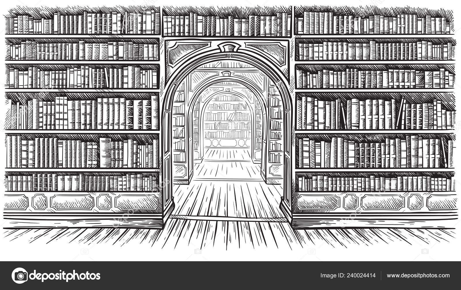 Library Book Shelf Interior Graphic Sketch Black White Illustration Vector Stock Vector Royalty Free Vector Image By C Vectorgoods Gmail Com Library Book Shelf Interior Graphic Sketch Black White Illustration Vector Stock Vector Royalty Free Vector Image By C Vectorgoods Gmail Com