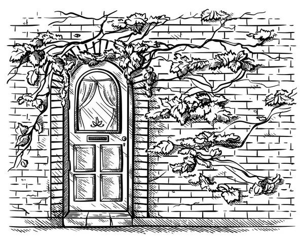 Schets van de hand getekende oude houten gewelfde deur in de bakstenen druif gevlochten muur vector — Stockvector