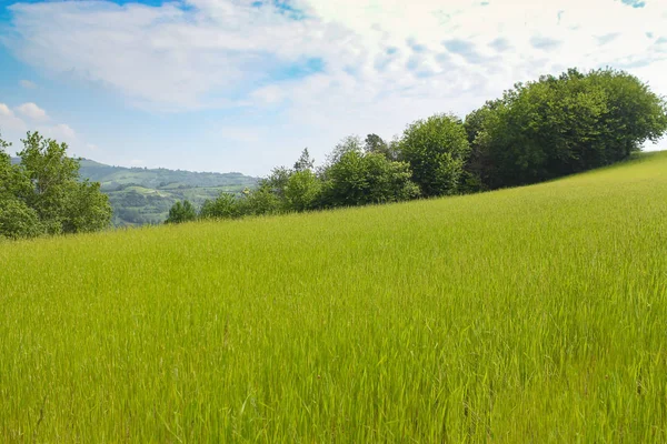 Paisaje Natural Con Hermosas Colinas Verdes — Foto de Stock