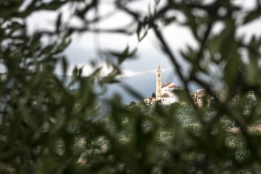 Antik Ligurya kilise görünümü ile zeytin ağacı dalı