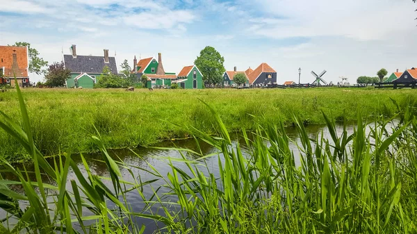 Типовий Голландського Пейзажу Будинками Рослинність — стокове фото