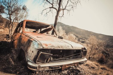 Doğada terk edilmiş eski bir paslı ve yok edilmiş araba