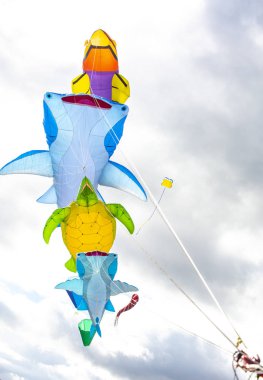 Deniz hayvanları nın şekli ile uçan uçurtma