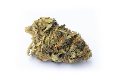 Basit arka planda Yasal Esrar çiçekler