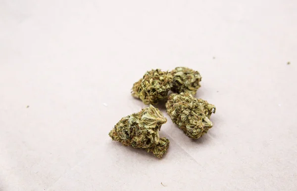 Legale Marihuana-Blüten auf Papier Hintergrund — Stockfoto