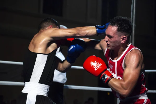 Boxning fighters i aktion — Stockfoto