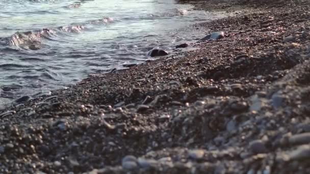 Playa con olas y piedras — Vídeos de Stock