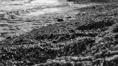 Dalgalı ve taşlı kumsal