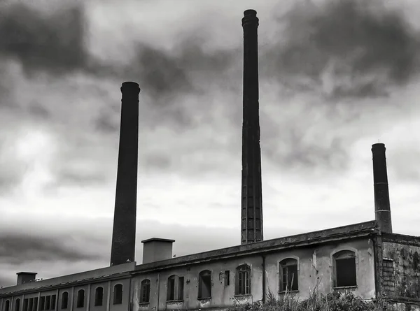 石塔のある古代工場 — ストック写真