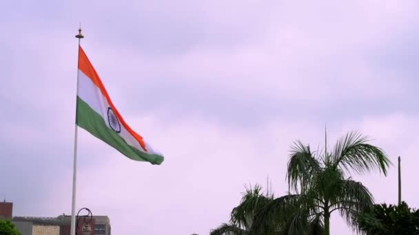 Indian National Flag Den Tricolor Fladdrande Och Vecklande Central Park — Stockvideo