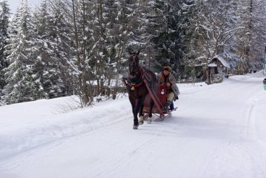 Polonya, Zakopane, Gubalowka Dağı'nda: Gubalowka bir dağ Gubalowka aralığında, Zakopane Lehçe kasaba yukarıda olduğunu. Dağ Tatras ve Zakopane komuta manzaralarını sunan popüler bir turistik 's.