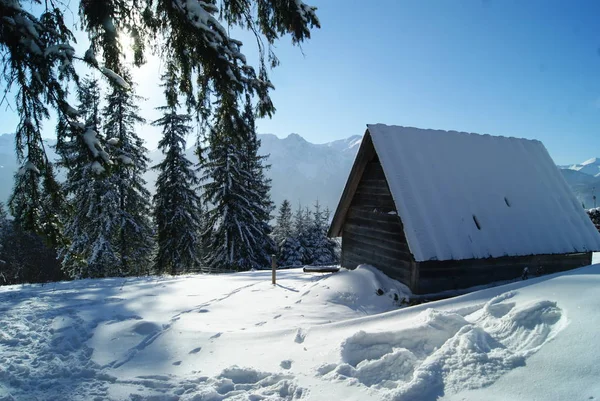 Polonia Zakopane Vista Desde Montaña Gubalowka Enero 2017 Gubalowka Una — Foto de Stock