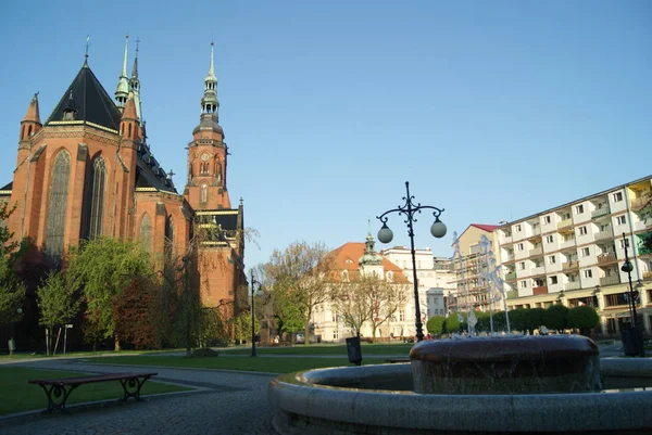 Polsko Lehnice Květen 2016 Lehnice Město Jihozápadním Polsku Kathedrale Peter — Stock fotografie