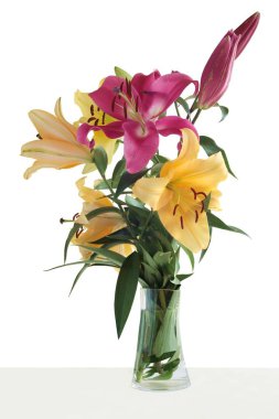 güzel zambak çiçekler yakın çekim