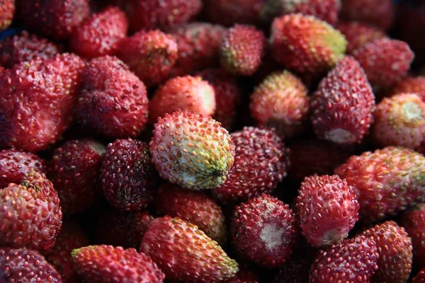 Rojo Deliciosas Fresas Como Postre —  Fotos de Stock