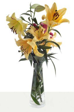 lily güzel çiçek yakın çekim