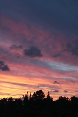 deniz kenarında güneş ve gün batımı pitoresk görünümü