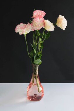 eustoma bitkisinin pembe çiçekleri, yakın