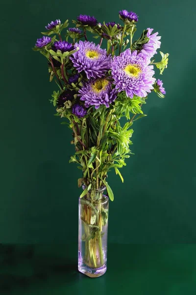 Posy Pretty Asters Close — Stock Photo, Image