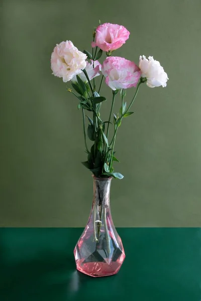 Eustoma Bitkinin Güzel Çok Renkli Çiçekler Yakın — Stok fotoğraf