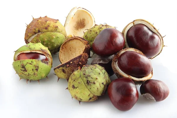 Brown Ripe Fruits Chestnut Tree Close — Stock Photo, Image