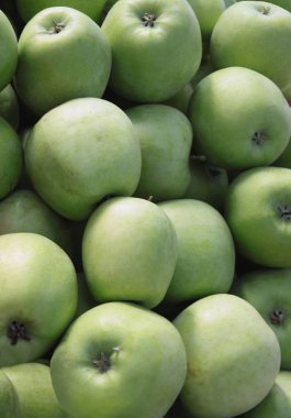 yaz aylarında lezzetli yeşil elma