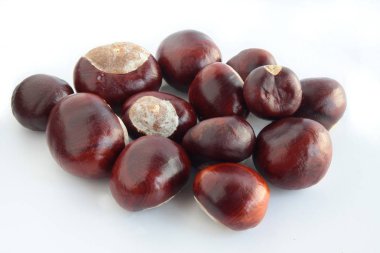 kestane ağacının kahverengi olgunlaşmış meyve yakın çekim