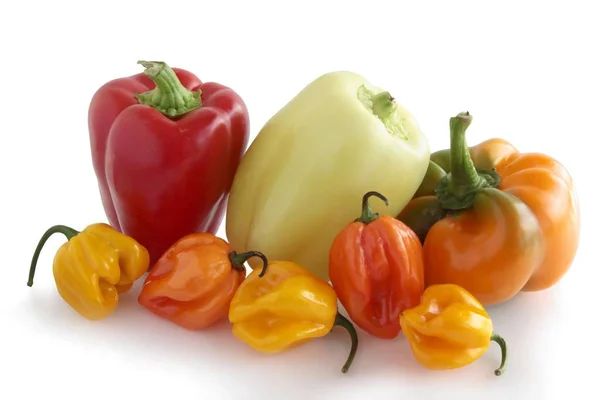 Multicolor Peppers Vegetables Close — Stock Photo, Image