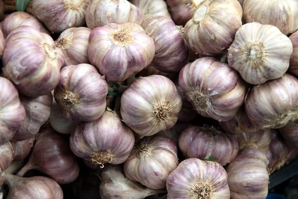 Garlic Vegetable Spice Natural Medicine — Stock Photo, Image