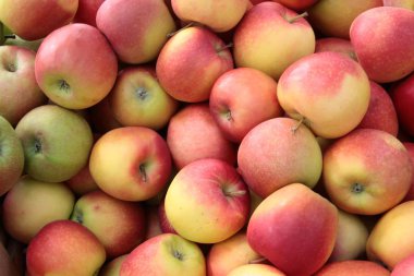 kırmızı, lezzetli elma yakın