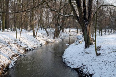 ağaçlar ile parkın güzel manzara