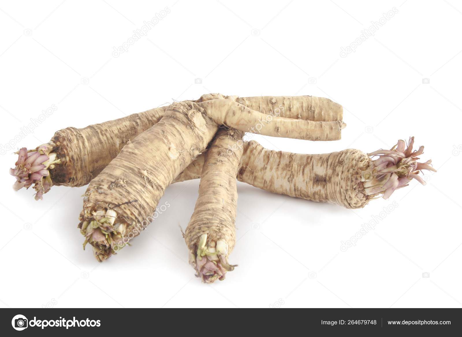 Roots Horseradish Spicy Vegetable Stock Photo by ©Manka 264679748
