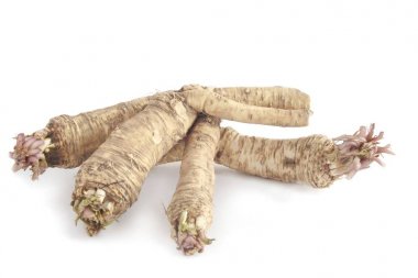 baharatlı sebze olarak horseradish kökleri