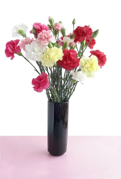 Posy Multicolor Carnation Flowers Close — Stock Photo, Image