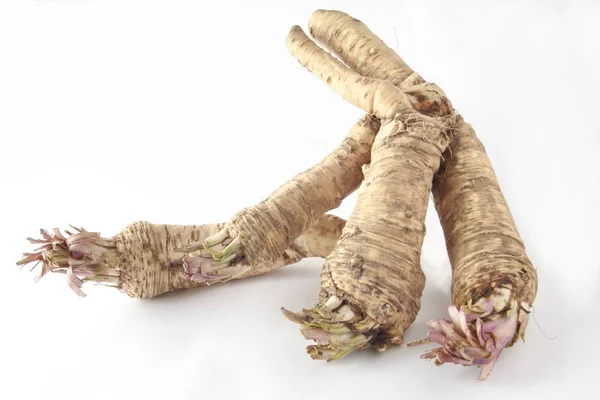 Raíces Rábano Picante Planta Silvestre Como Verdura —  Fotos de Stock