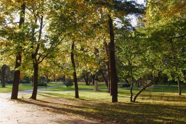 Sonbahar mevsiminde parkın manzarası