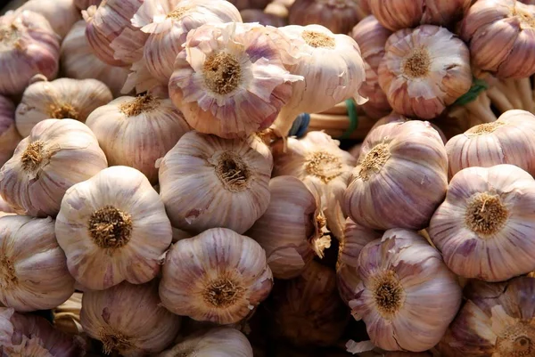 White Pink Bulbs Garlic Vegetable — Stock Photo, Image