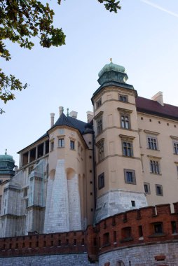 Krakow wawel Kalesi parçası
