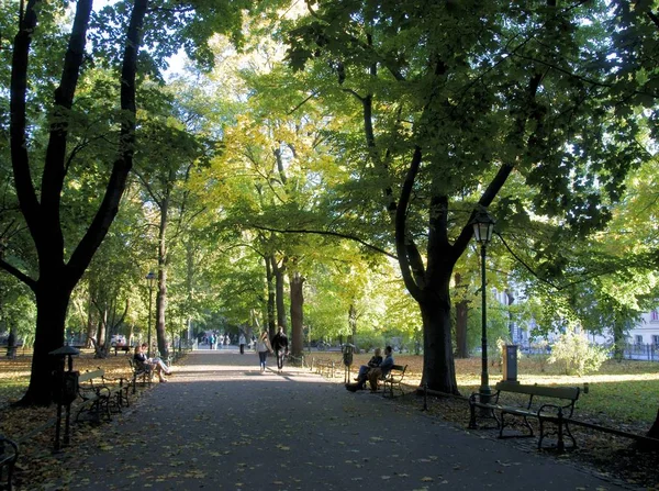 Landscape Park Autumn Season — Stock Photo, Image