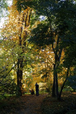 Sonbaharda parktaki Flora manzarası