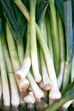 Salata için lezzetli sebze püresi