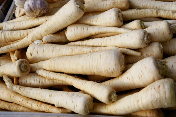 Las Raíces Blancas Perejil Vegetal Cerca —  Fotos de Stock