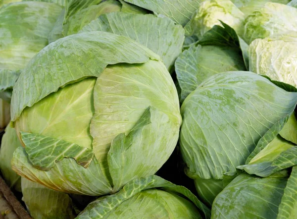 Green Leaves Cabbage Vegetable — Stock Photo, Image