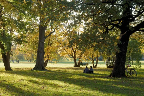 Landscape View Trees Flora Park Autumn — Stock Photo, Image