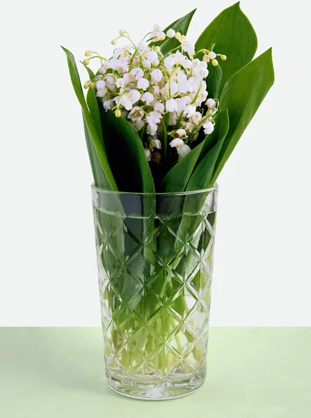 Posy Van Witte Geurige Convallaria Maialis Bloemen Close — Stockfoto