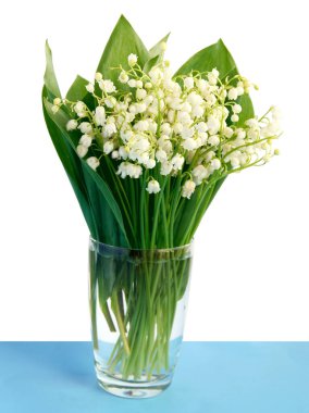 İlkbaharda Convallaria Maialis 'in beyaz kokulu çiçekleri